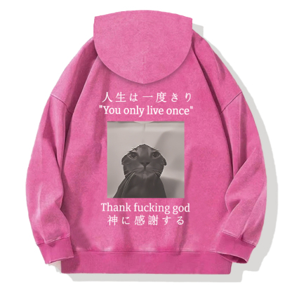 Funny Melancholy Cat Back Washed Hoodie