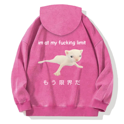 Cat Reaching Its Limit Back Washed Hoodie