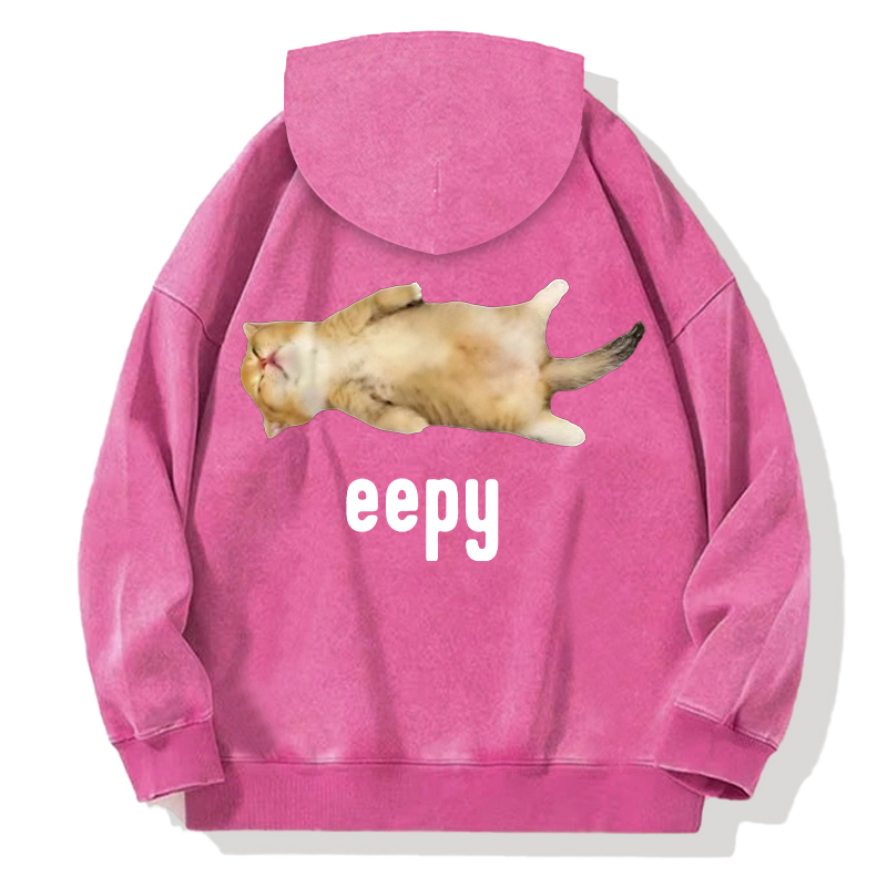 Silly Sleepy Cat Meme Back Washed Hoodie