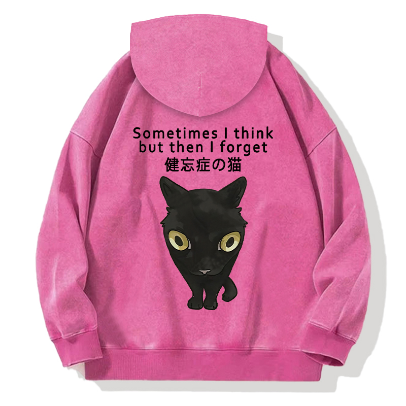 Amnesiac Cat Back Washed Hoodie