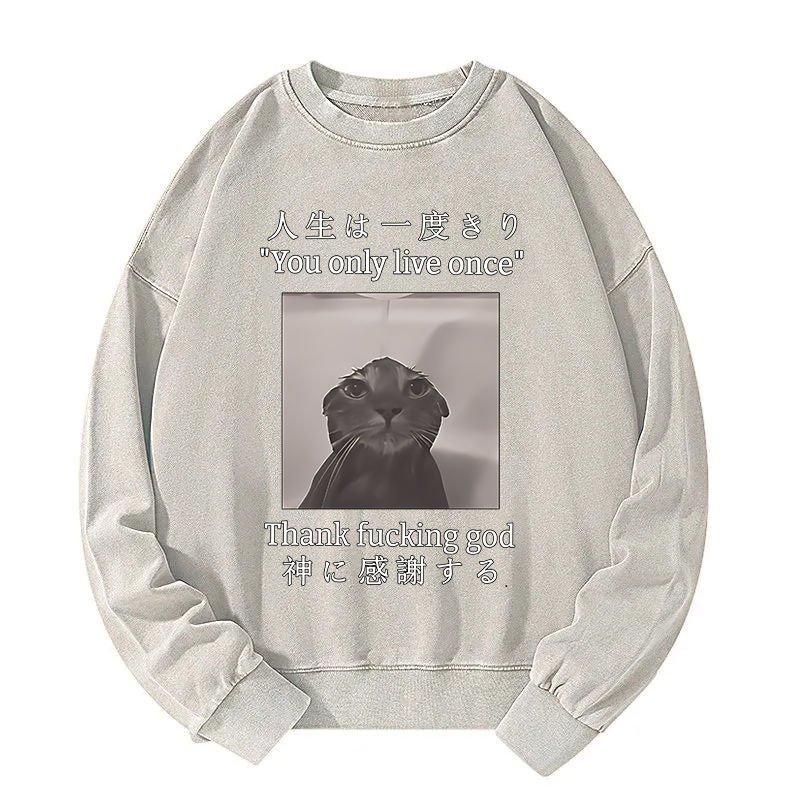 Funny Melancholy Cat Washed Sweatshirt