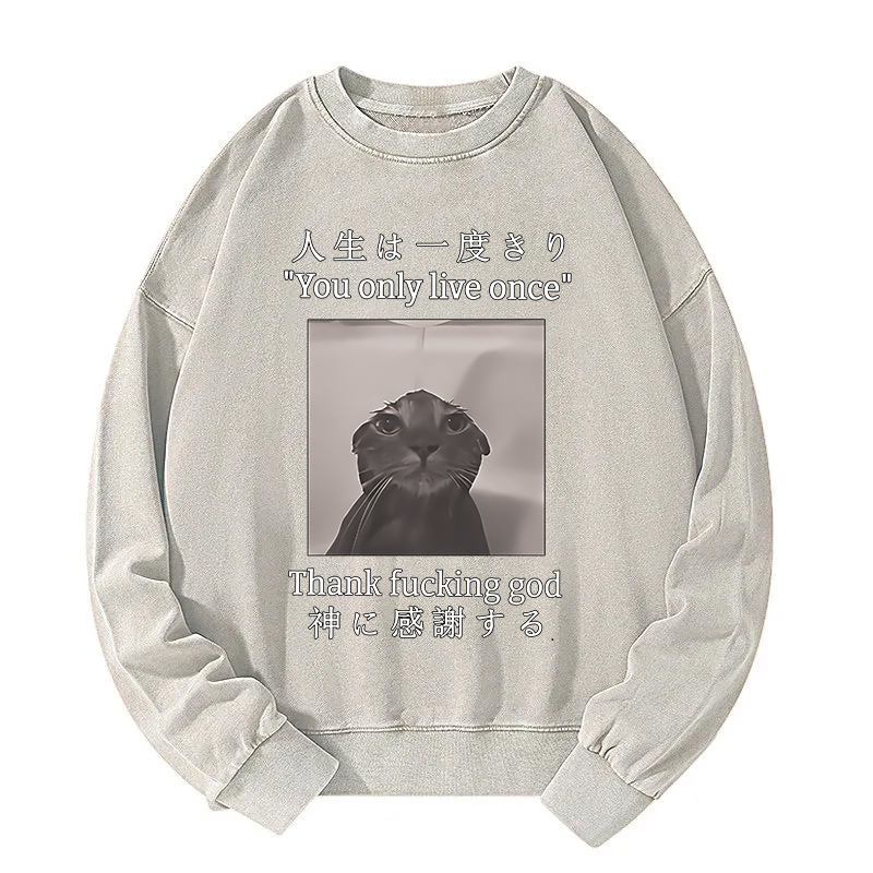 Funny Melancholy Cat Washed Sweatshirt