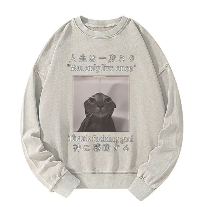 Funny Melancholy Cat Washed Sweatshirt