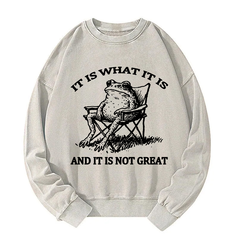 Resting Frog Funny Washed Sweatshirt