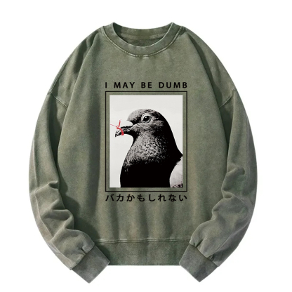 I May Be Dumb Funny Washed Sweatshirt
