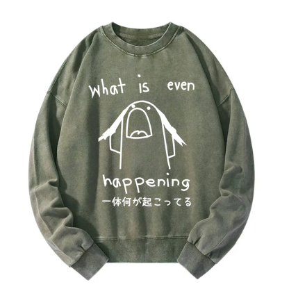 What Is Even Happening Washed Sweatshirt