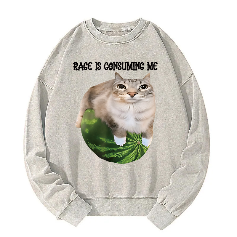 Rage Is Consuming Me Cat Meme Washed Sweatshirt