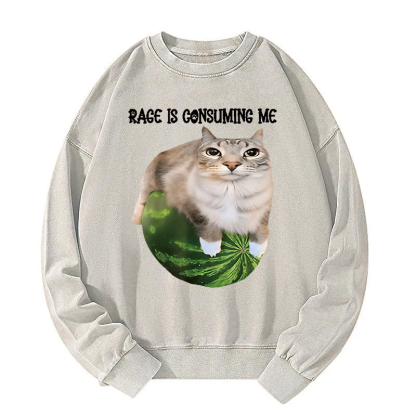 Rage Is Consuming Me Cat Meme Washed Sweatshirt