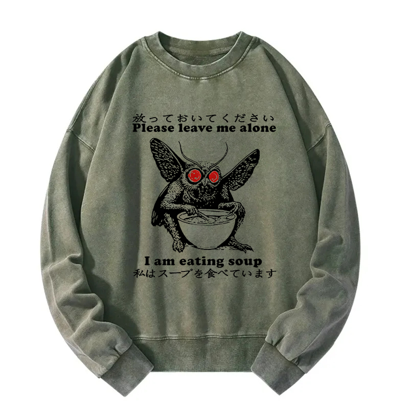 Don't Bother The Mothman Washed Sweatshirt
