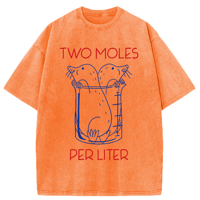 Two Moles Per Liter Washed T-Shirt