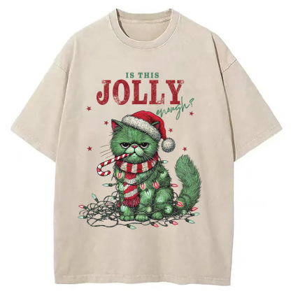 Christmas Gift Washed T-Shirt