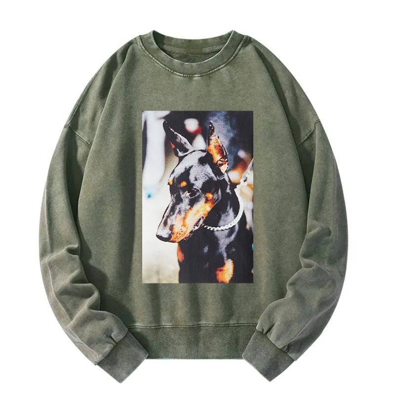 Doberman Pinscher Washed Sweatshirt