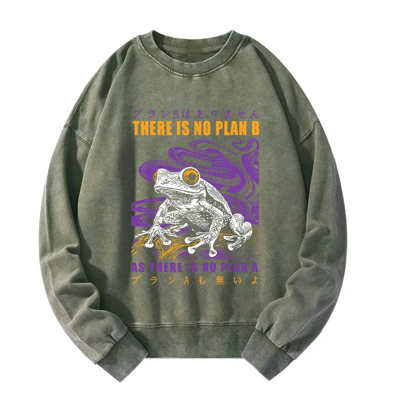 Thers Is No Plan B Frog Washed Sweatshirt