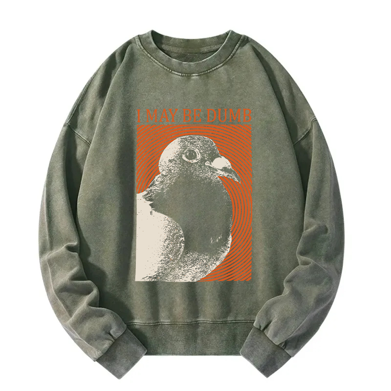 I May Be Dumb Washed Sweatshirt