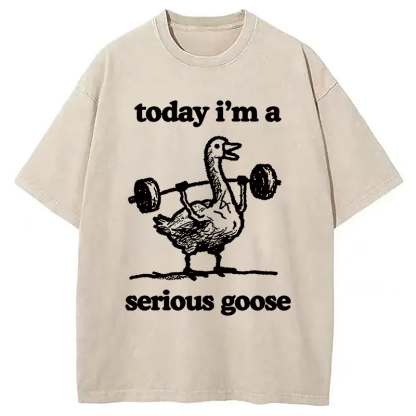 Fitness Goose Washed T-Shirt