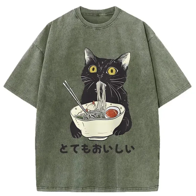 Cats Eat Ramen Noodles Washed T-Shirt