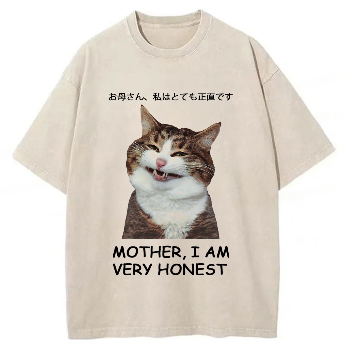 Tokyoviva Honest Cat Washed T-shirt