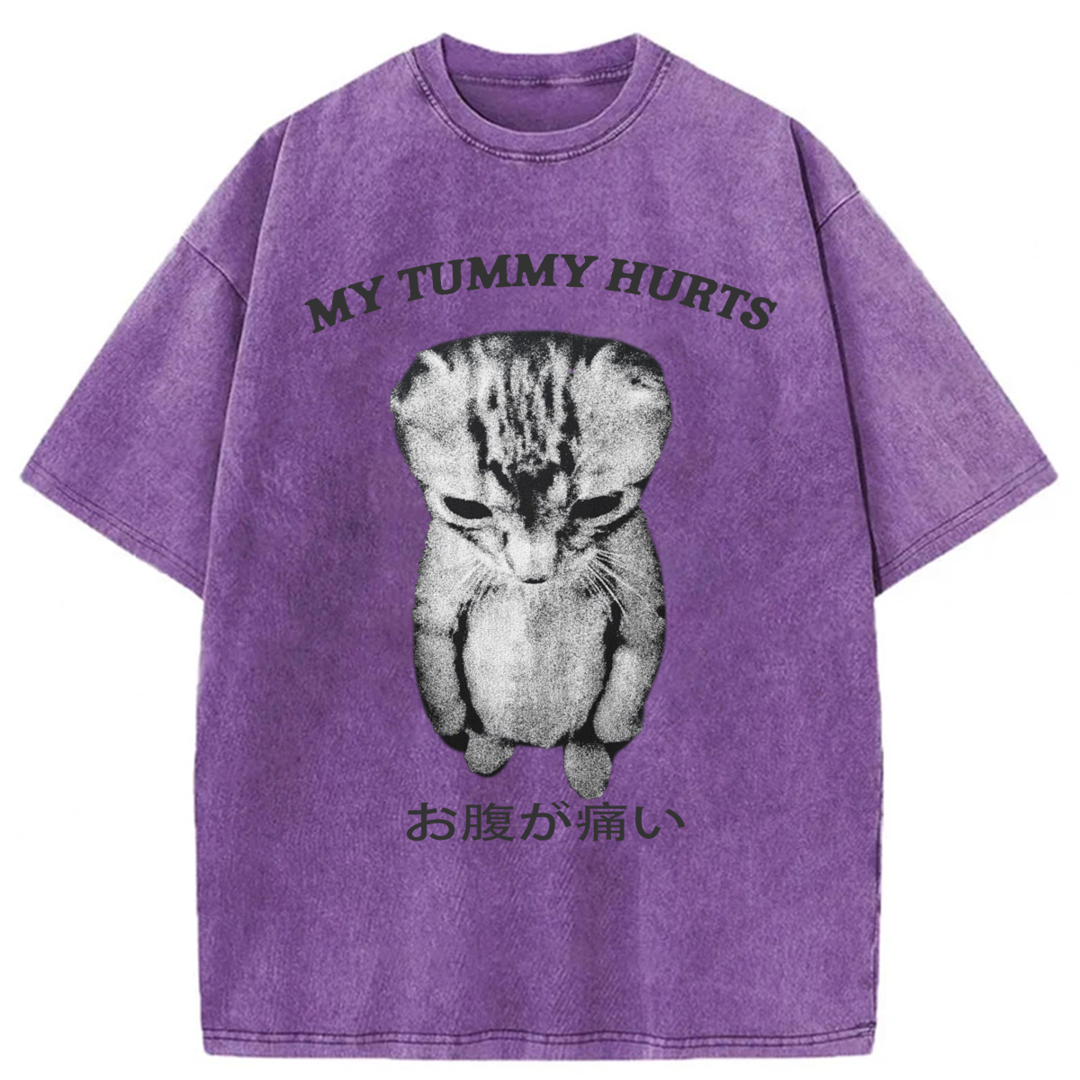Tokyoviva Japanese Cat My Tummy Hurt Washed T-shirt