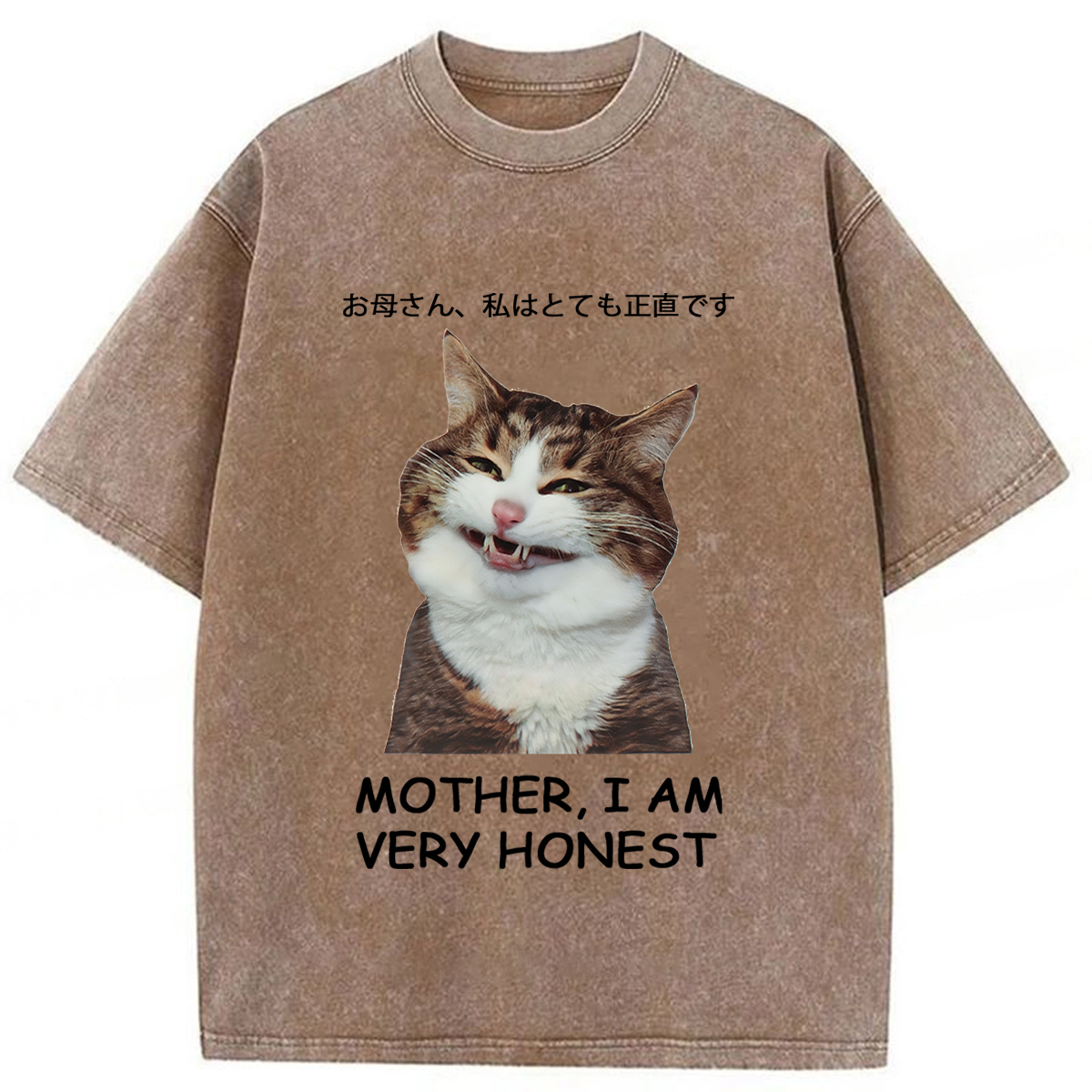 Tokyoviva Honest Cat Washed T-shirt
