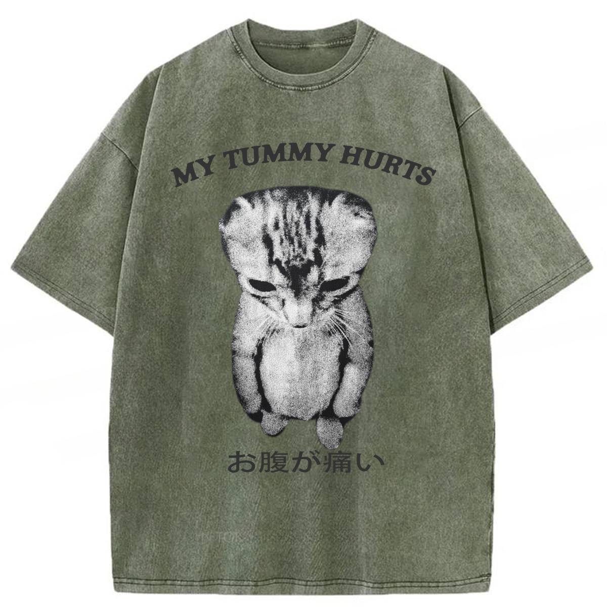Tokyoviva Japanese Cat My Tummy Hurt Washed T-shirt