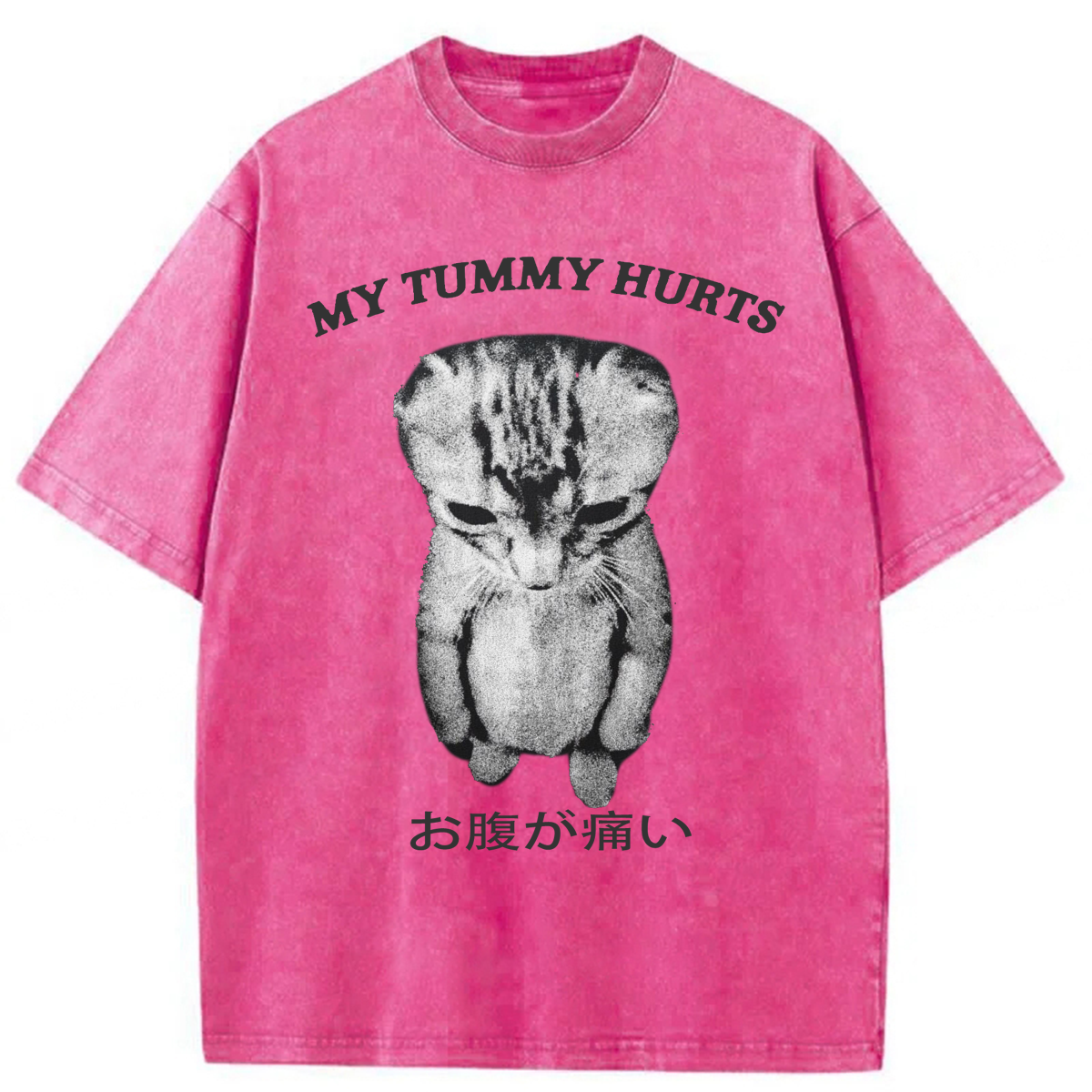 Tokyoviva Japanese Cat My Tummy Hurt Washed T-shirt