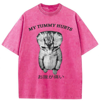 Tokyoviva Japanese Cat My Tummy Hurt Washed T-shirt