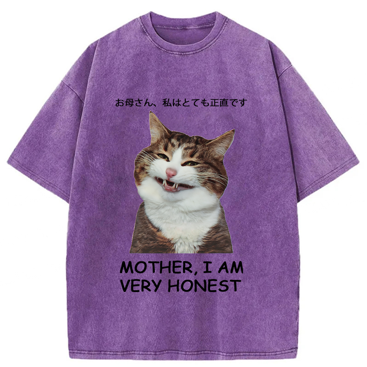 Tokyoviva Honest Cat Washed T-shirt