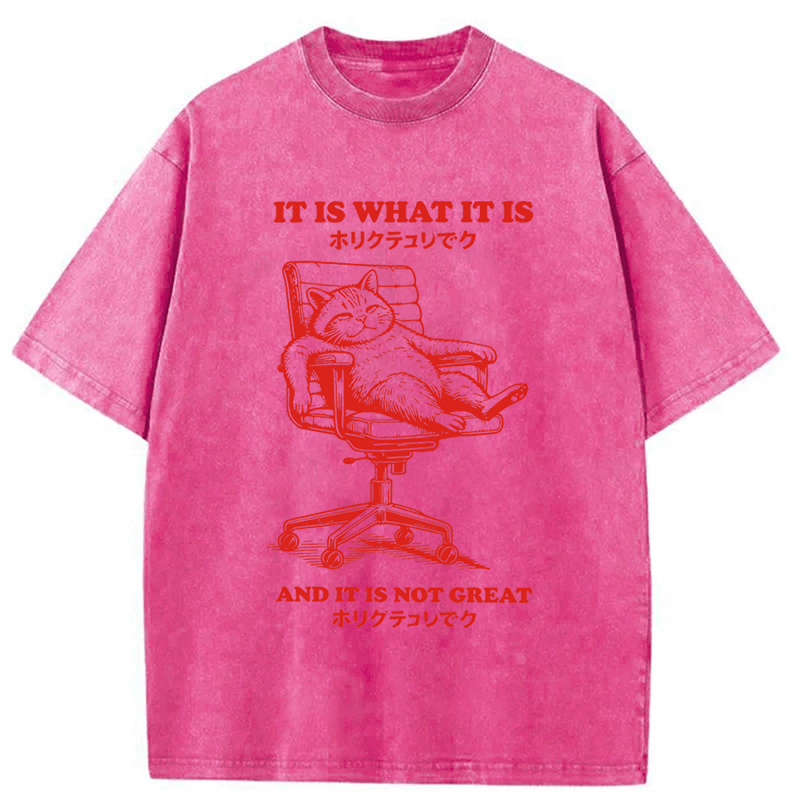 Tokyoviva Tired Cat Washed T-shirt