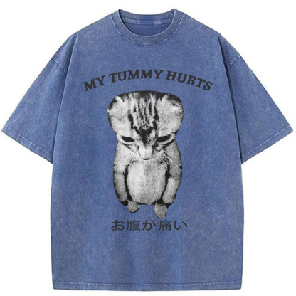 Tokyoviva Japanese Cat My Tummy Hurt Washed T-shirt