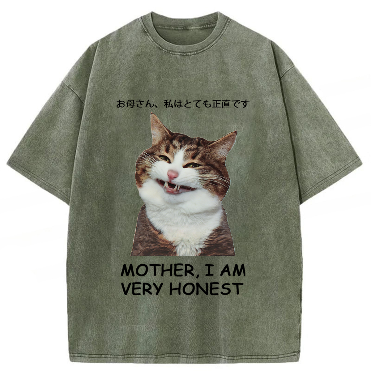 Tokyoviva Honest Cat Washed T-shirt