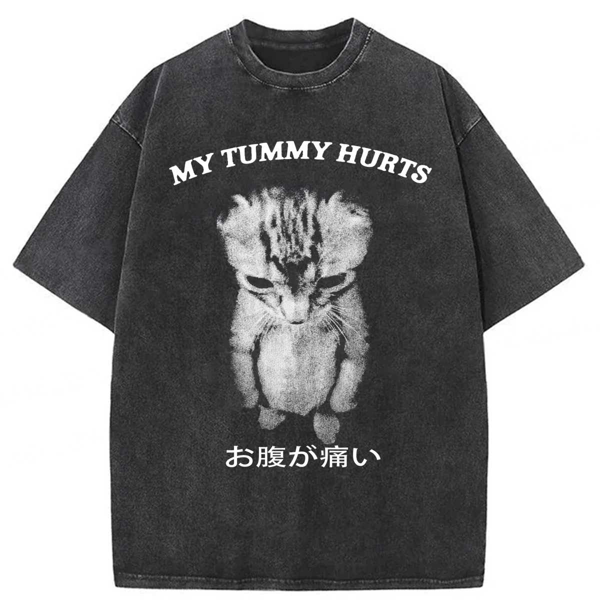 Tokyoviva Japanese Cat My Tummy Hurt Washed T-shirt