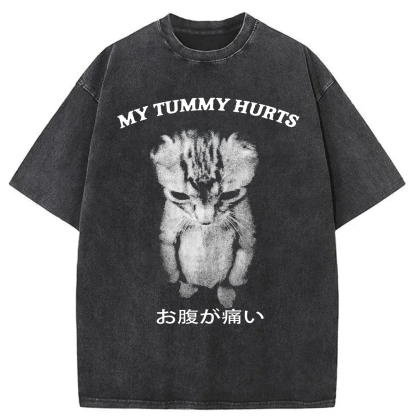 Tokyoviva Japanese Cat My Tummy Hurt Washed T-shirt