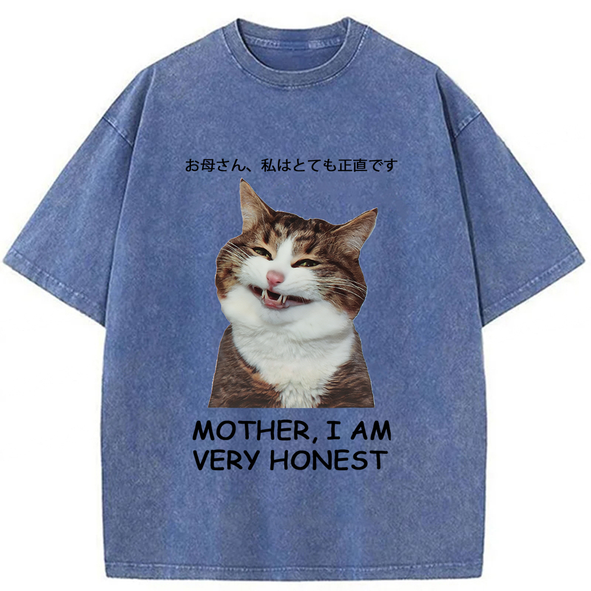 Tokyoviva Honest Cat Washed T-shirt