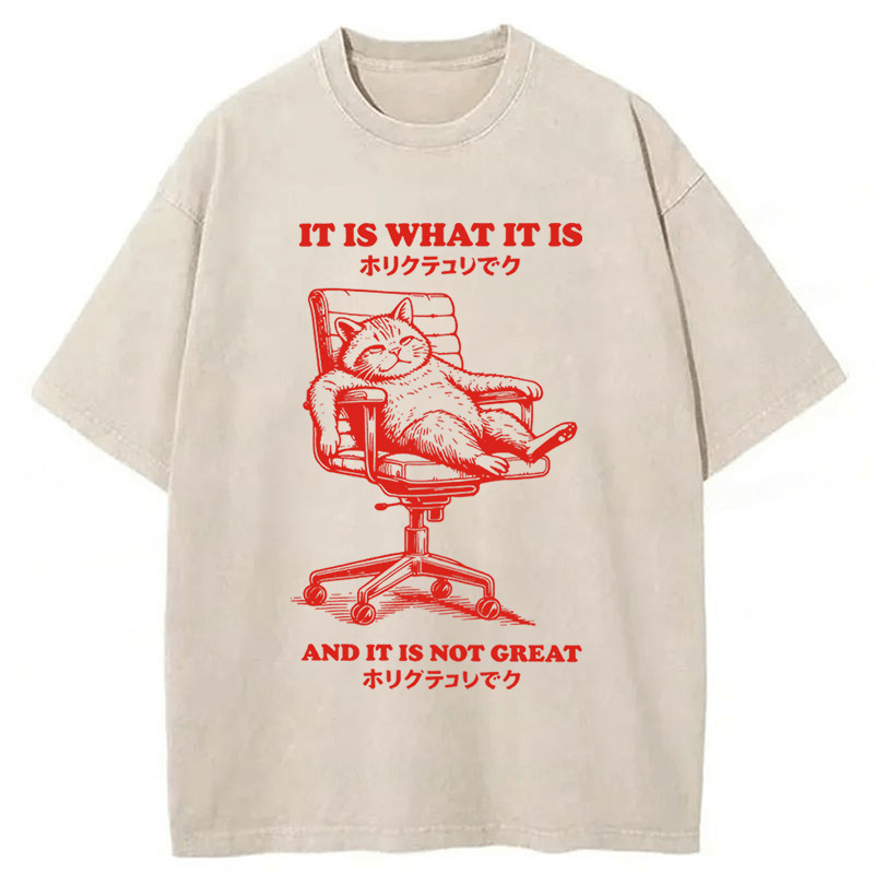 Tokyoviva Tired Cat Washed T-shirt