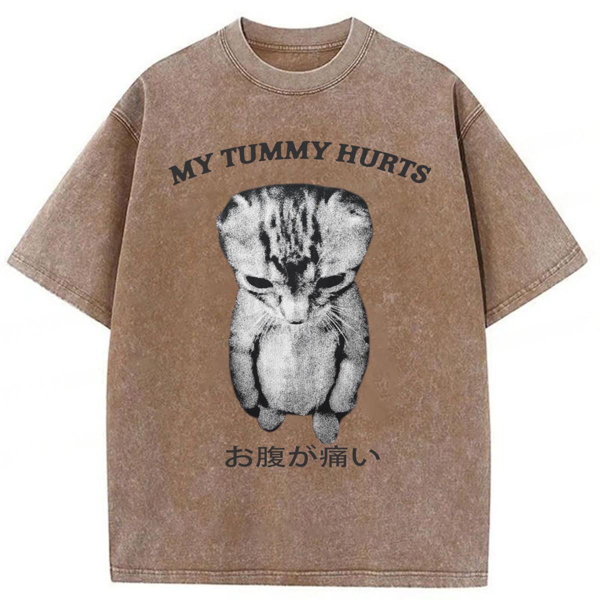 Tokyoviva Japanese Cat My Tummy Hurt Washed T-shirt