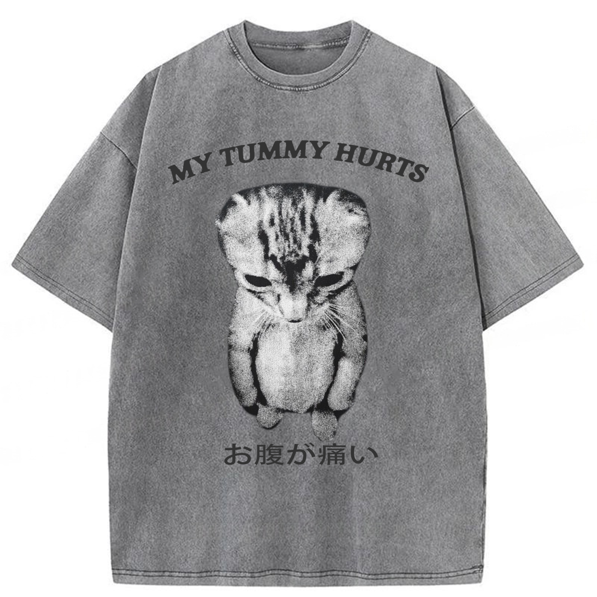 Tokyoviva Japanese Cat My Tummy Hurt Washed T-shirt