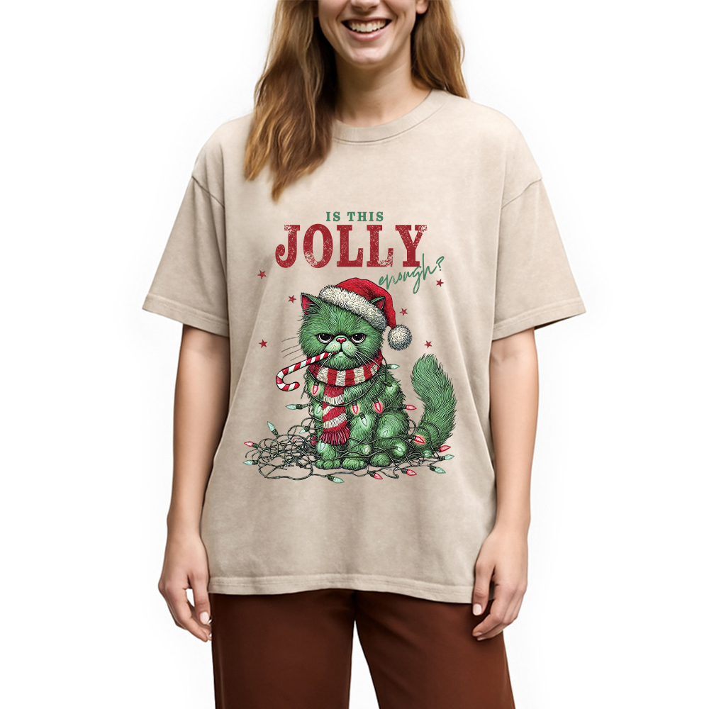 Christmas Gift Washed T-Shirt