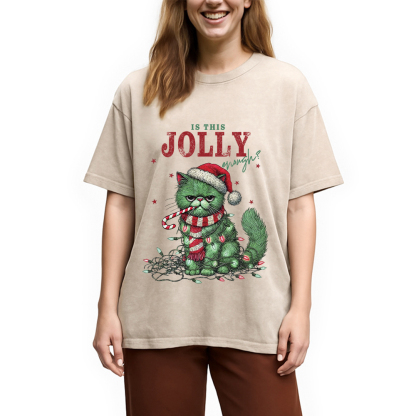 Christmas Gift Washed T-Shirt