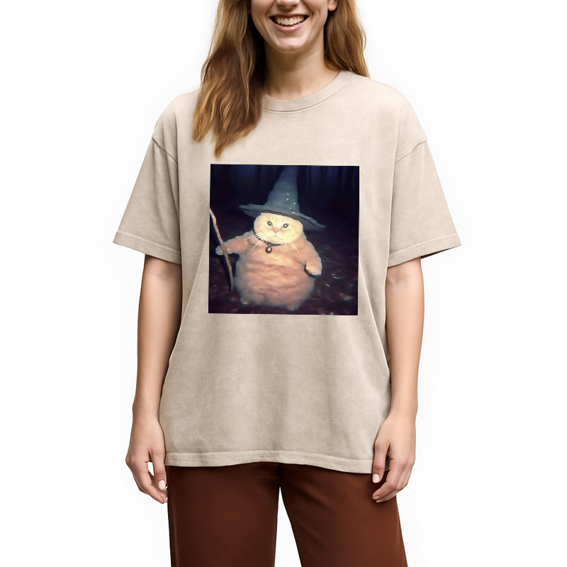 Wizard Cat Funny Halloween Washed T-Shirt