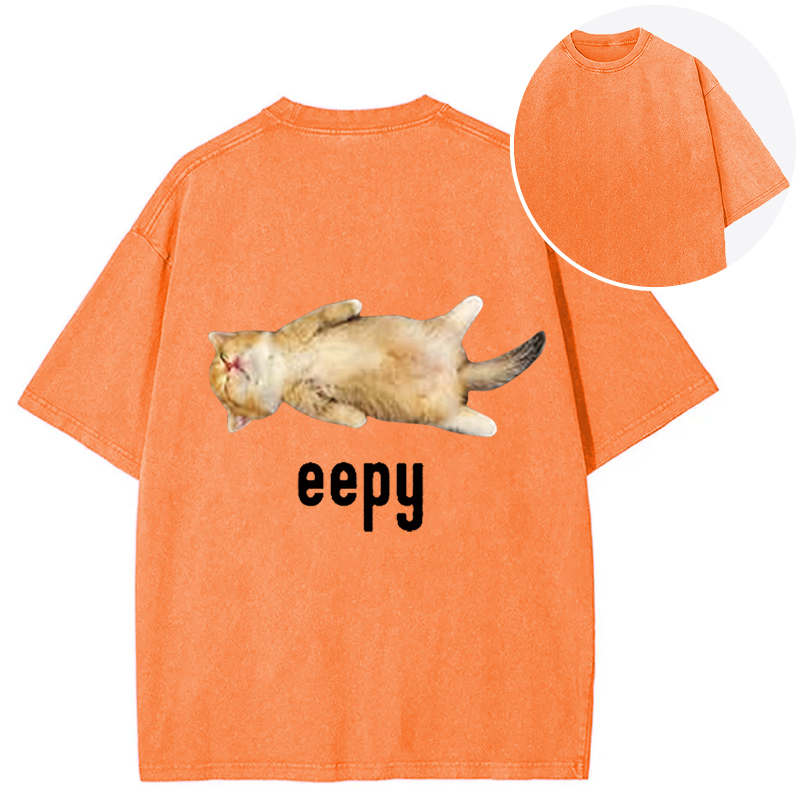 Silly Sleepy Cat Meme Back Washed T-Shirt