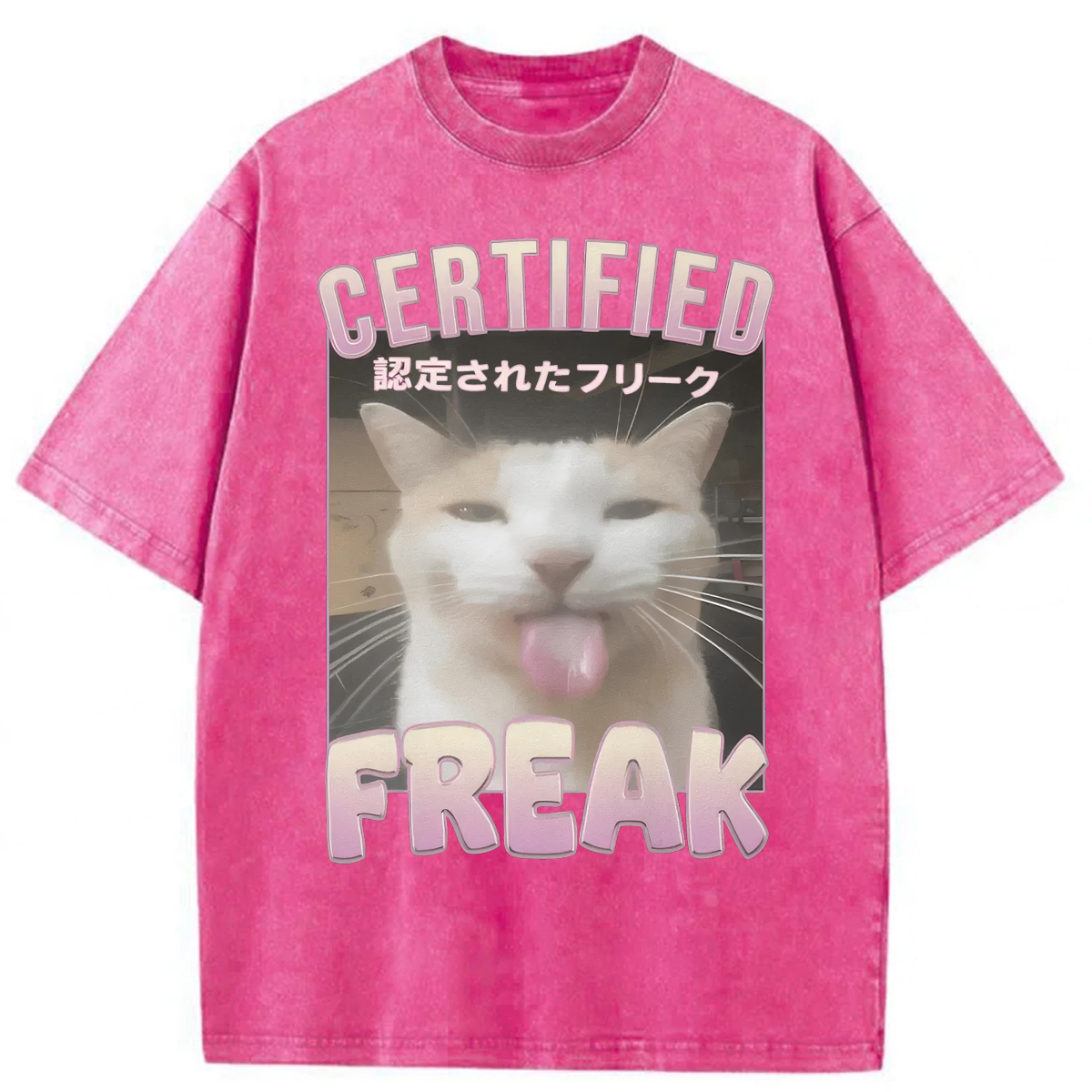 Tokyoviva Certified Freak Funny Cat Washed T-shirt