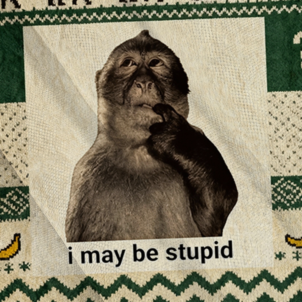 Baddiecat Funny Monkey I May Be Stupid Ugly Sweatshirt