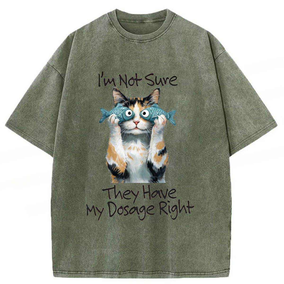Tokyoviva Cat Meme Sarcastic Ironic Washed T-shirt