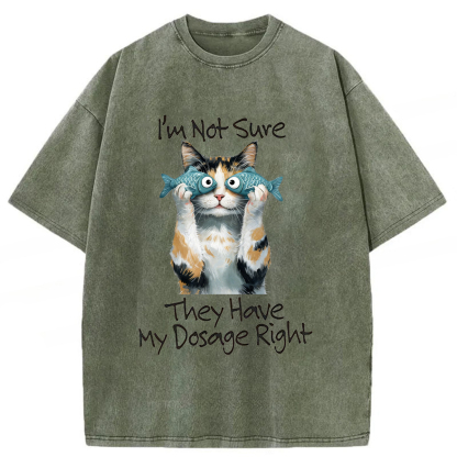 Tokyoviva Cat Meme Sarcastic Ironic Washed T-shirt