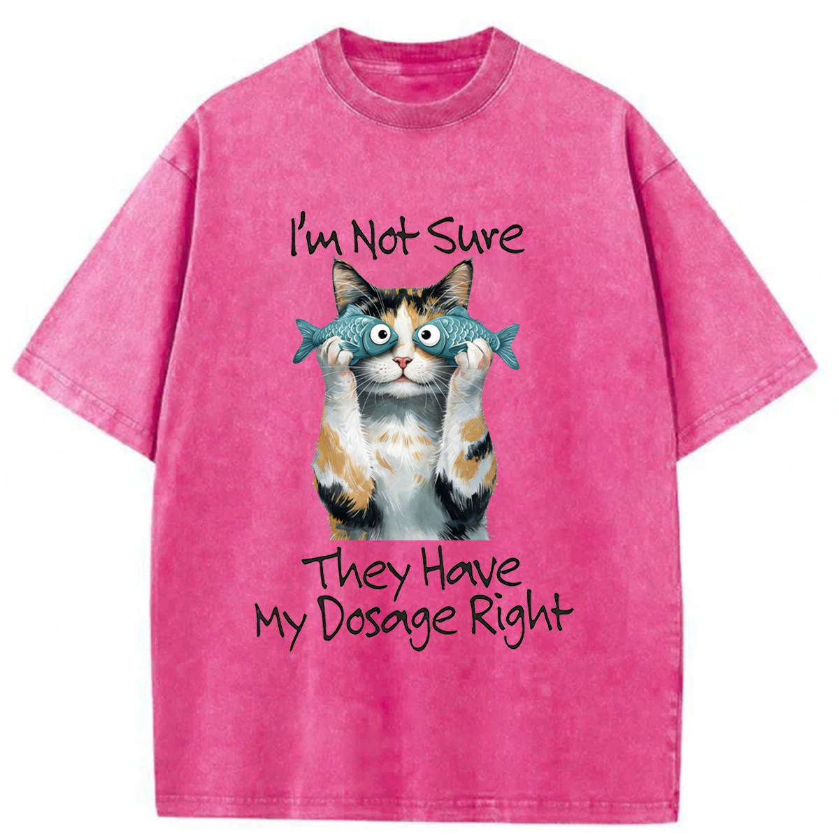 Tokyoviva Cat Meme Sarcastic Ironic Washed T-shirt