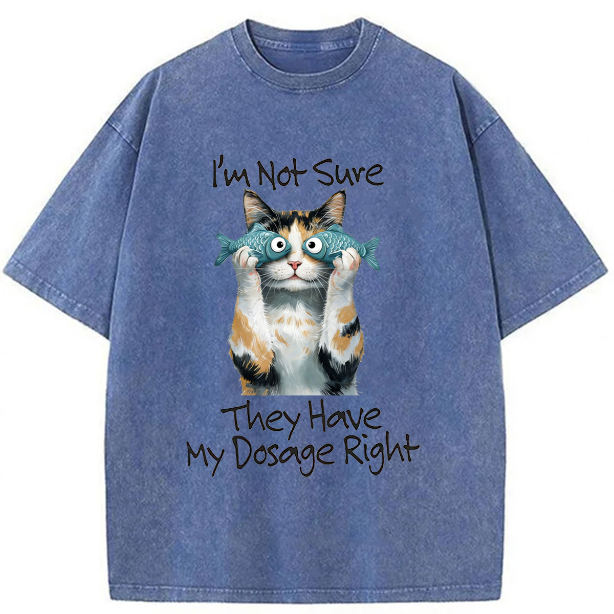 Tokyoviva Cat Meme Sarcastic Ironic Washed T-shirt
