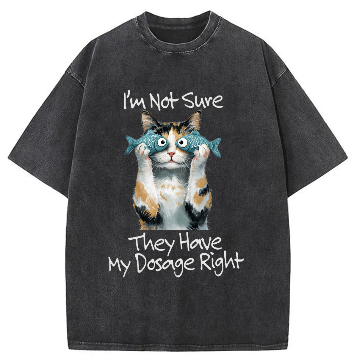 Tokyoviva Cat Meme Sarcastic Ironic Washed T-shirt