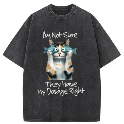 Tokyoviva Cat Meme Sarcastic Ironic Washed T-shirt