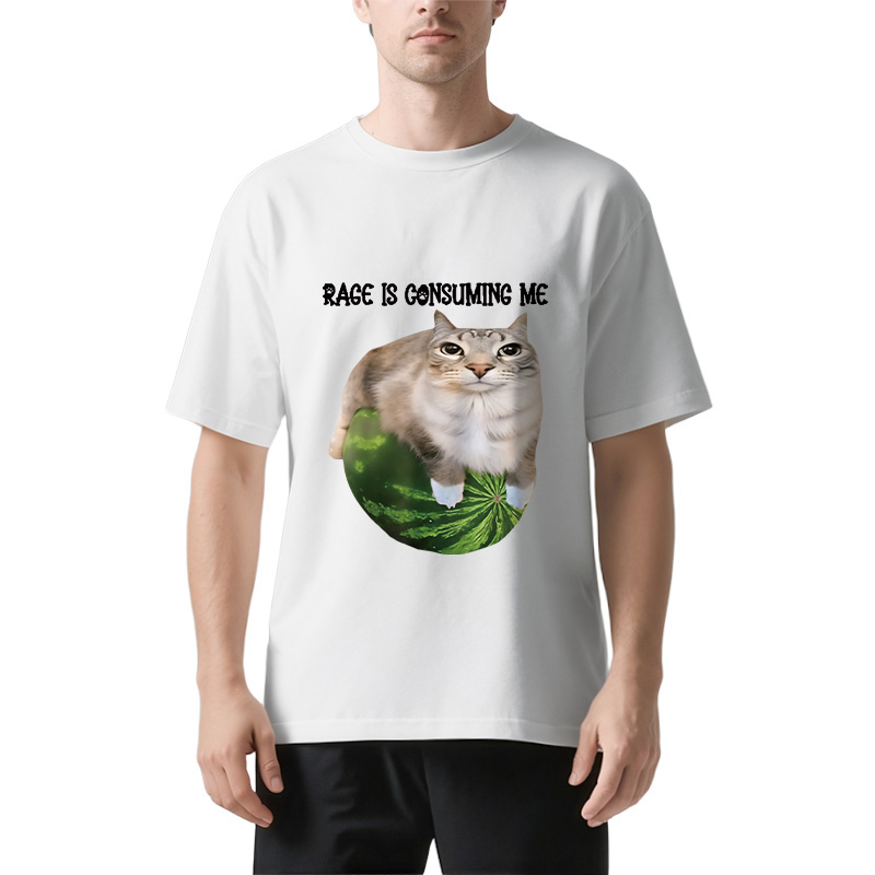 Rage Is Consuming Me Cat Meme Classic T-Shirt
