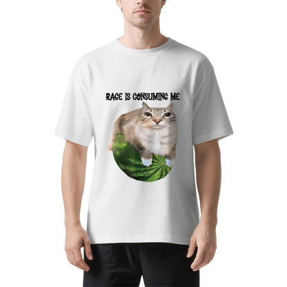 Rage Is Consuming Me Cat Meme Classic T-Shirt